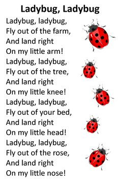 rhyme ladybug ladybug more lady bug quotes ladybugs rhymes ladybugs ...