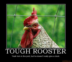 ... -badass-rooster-tough-joint-demotivational-poster-1267431998.jpg