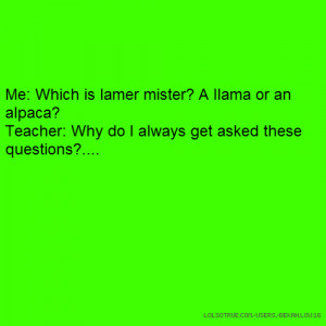 Me: Which is lamer mister? A llama or an alpaca? Teacher: Why do I ...