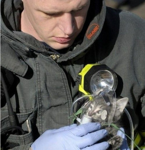 animal rescued from fire