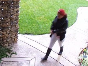 img package theft caught on camera jpg