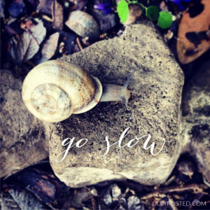 Leave a Reply Cancel reply