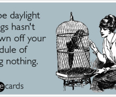 daylight savings quotes Reviews you can really sink your teeth into…