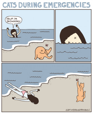 Cat vs human : webcomics poilant