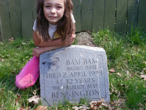 Pet Cremation Services Ohio