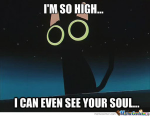 LSD Funny Cat Memes