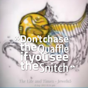 Quotes Picture: don't chase the quaffle if you see the snitch