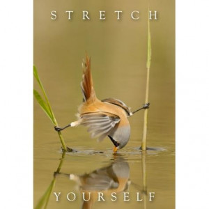 Personal Goal Setting Tip: Stretch yourself....you might surprise ...