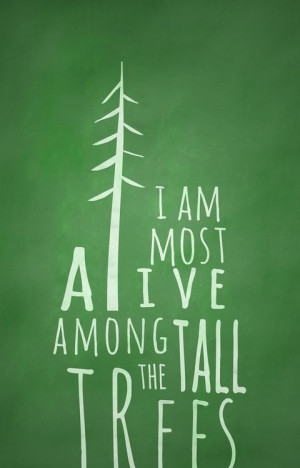 am most alive among the tall trees.