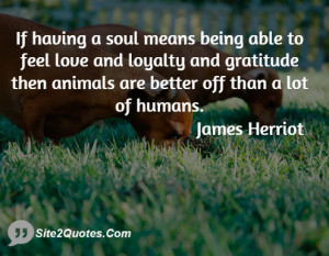 ... and gratitude then animals are better off than a lot of humans