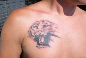 Posted in Chest Tattoos , Tiger Tattoos | No Comments »