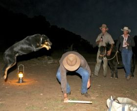 Aussie Farmstay and Bush Adventures