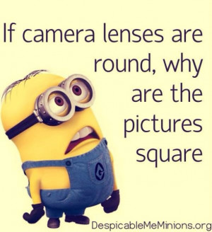 Funny minions Quotations and Quotes