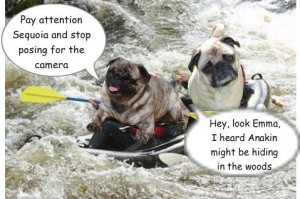 puppy wild water rafting
