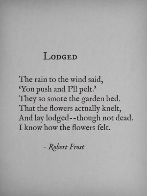 Lodged- Robert Frost