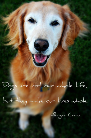 dogs are not our whole life…. motivational inspirational love life ...