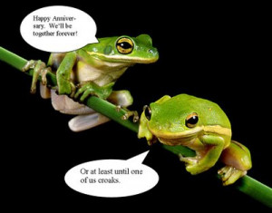 Funny Frogs Pictures