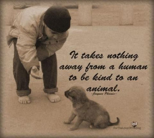 it takes nothing away from a human to be kind to an animal