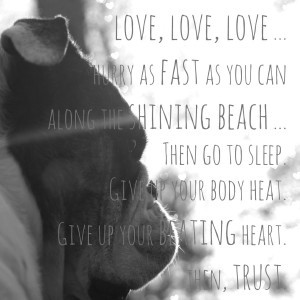 ... quote by mary oliver english bulldog black and white photography quote