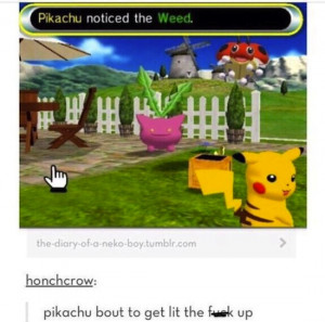 pokemon-tumblr-weed