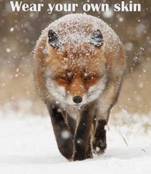 Anti-fur all the way. For these beautifull animals.