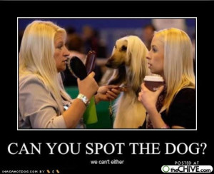 Stuff, Life, and More Stuff