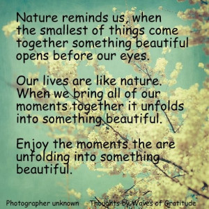Nature's beauty.....
