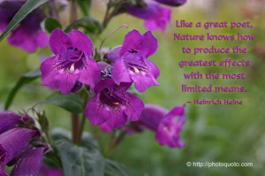 Nature Quotes (Images)