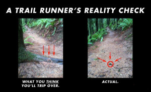... runners and those damn sidewalks that are pushed up from tree roots