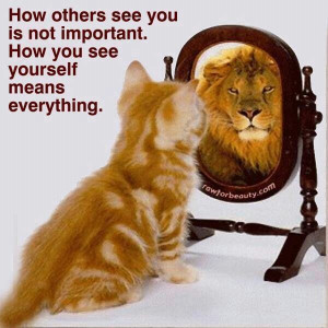 Already have an account? Log in now