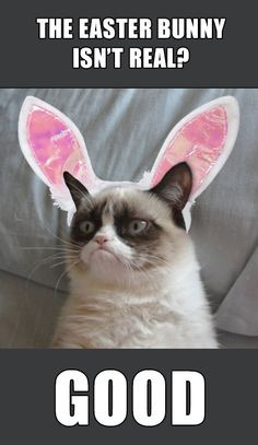 Grumpy Cat - Happy Easter More
