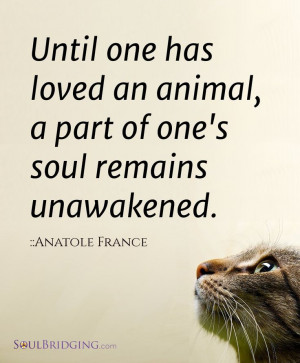 ... remains unawakened.” - Anatole France #quotes #animal #love: Anatole