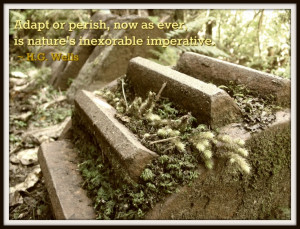 ... , is nature's inexorable imperative. ~ H. G. Wells #Steampunk #Quotes