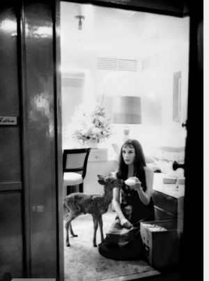 Audrey Hepburn Wedding...