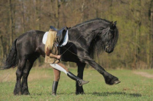 Photo: Girl and her horse training together