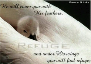 Psalm 91:4
