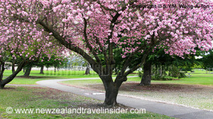 Funny Quotes Contact Dmca