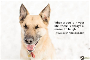 AS DOGS WOULD SAY: DOG QUOTE 04