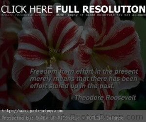 Quotes-and-Sayings-Picture-Freedom-from-effort-in-the-present-merely ...