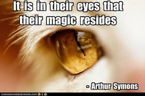 ... In Their Eyes That Their Magic Resides. - Arthur Symons ~ Cat Quotes