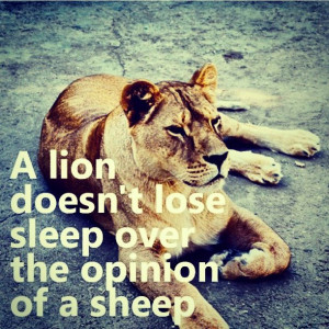 lion #strong #wise