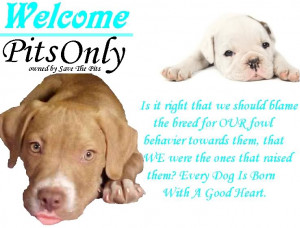 Sad Pitbull Quotes