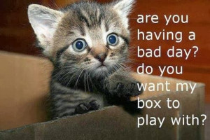 are you having a bad day? do you want my box play with?