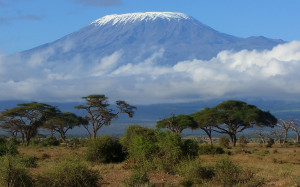 Tanzania safari guides and kilimanjaro climbing routes Related