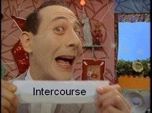 Intercourse Image