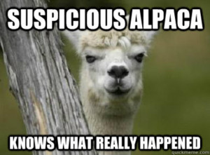funny llama and alpaca memes1 do not punch the llamas 1375834488987