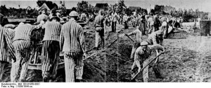 ... camp performing manual labor, Oranienburg, Germany, 1936, photo 2 of 2