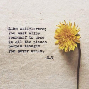 Wildflowers Quotes