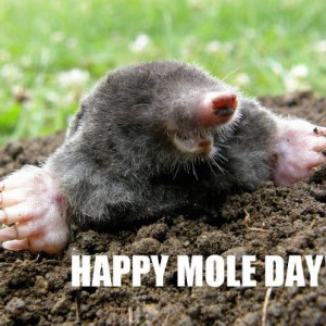 mole day