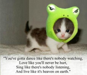 18 inspirational quotes from cute baby animals